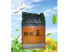 現貨砂漿王 西安砂漿王廠家