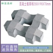 西安井字草坪磚190×250×80